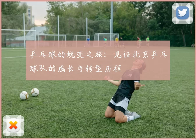 乒乓球的蜕变之旅：见证北京乒乓球队的成长与转型历程
