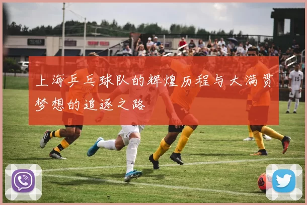 上海乒乓球队的辉煌历程与大满贯梦想的追逐之路