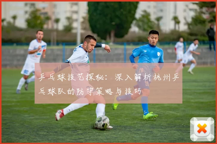乒乓球技艺探秘：深入解析杭州乒乓球队的防守策略与技巧