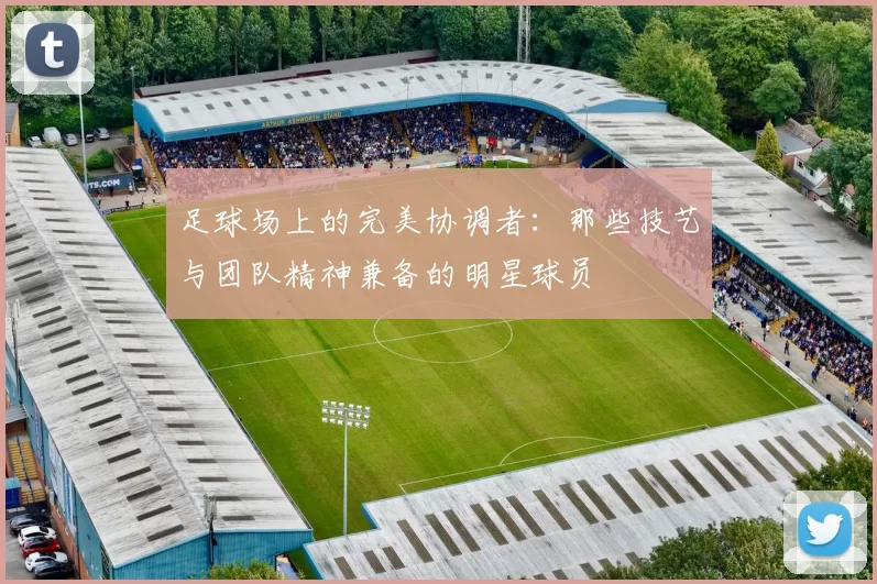 足球场上的完美协调者：那些技艺与团队精神兼备的明星球员