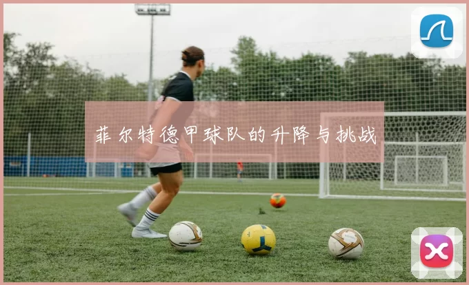 菲尔特德甲球队的升降与挑战