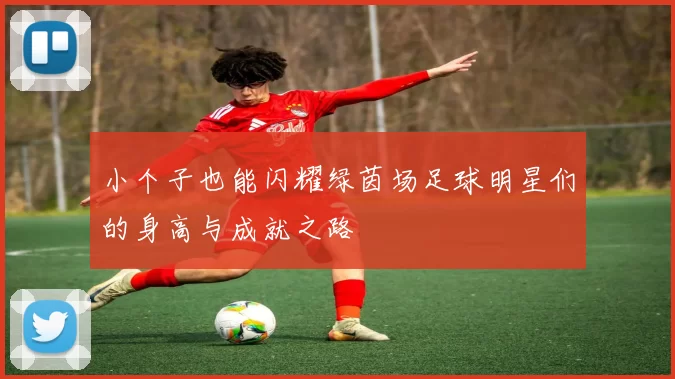 小个子也能闪耀绿茵场足球明星们的身高与成就之路