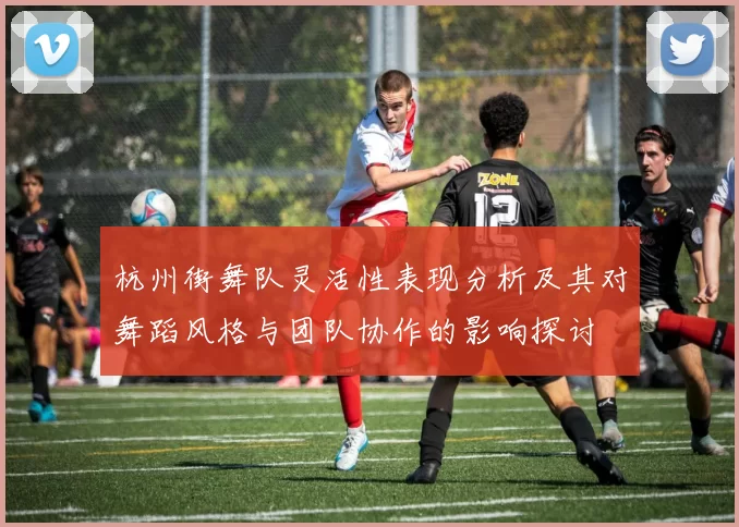 杭州街舞队灵活性表现分析及其对舞蹈风格与团队协作的影响探讨