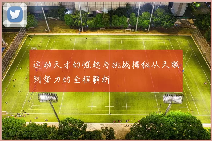 运动天才的崛起与挑战揭秘从天赋到努力的全程解析