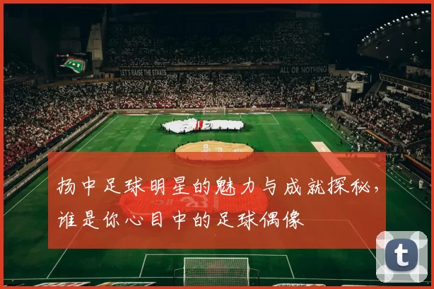 扬中足球明星的魅力与成就探秘，谁是你心目中的足球偶像