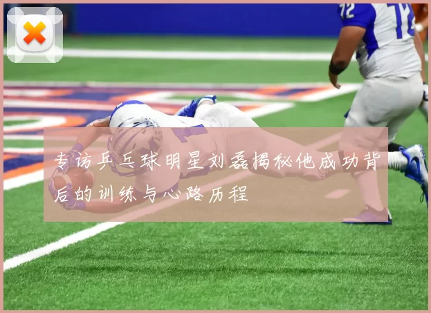 专访乒乓球明星刘磊揭秘他成功背后的训练与心路历程