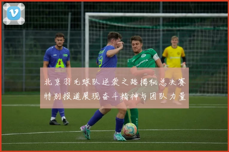 北京羽毛球队逆袭之路揭秘总决赛特别报道展现奋斗精神与团队力量