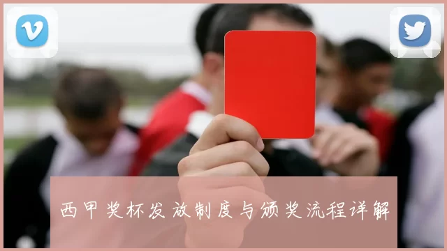 西甲奖杯发放制度与颁奖流程详解