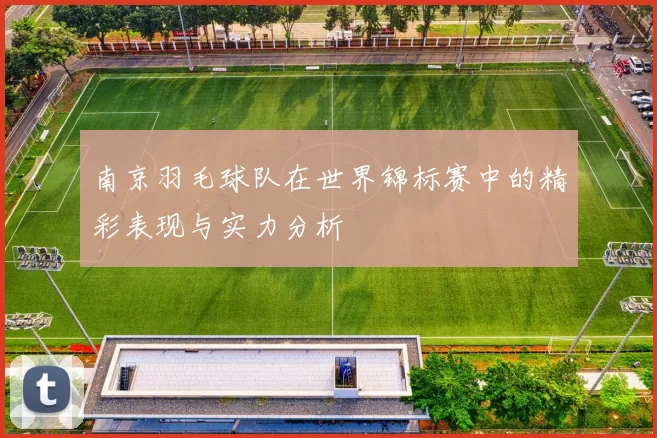 南京羽毛球队在世界锦标赛中的精彩表现与实力分析