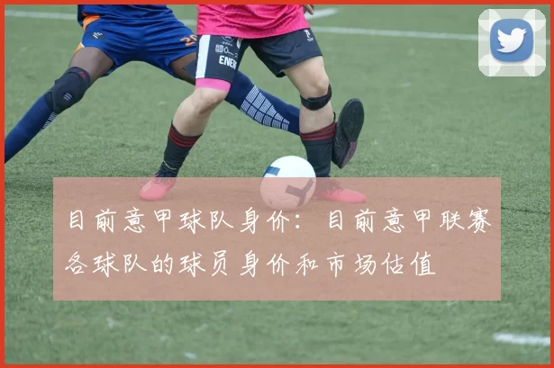 目前意甲球队身价：目前意甲联赛各球队的球员身价和市场估值