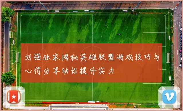 刘强独家揭秘英雄联盟游戏技巧与心得分享助你提升实力